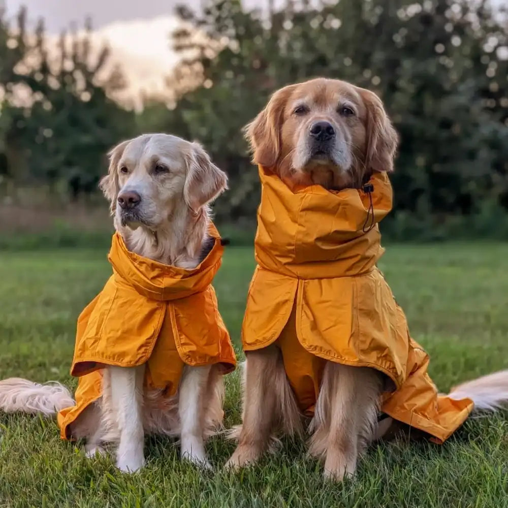 Breatheshield™ Dog Raincoat - Mustard Yellow