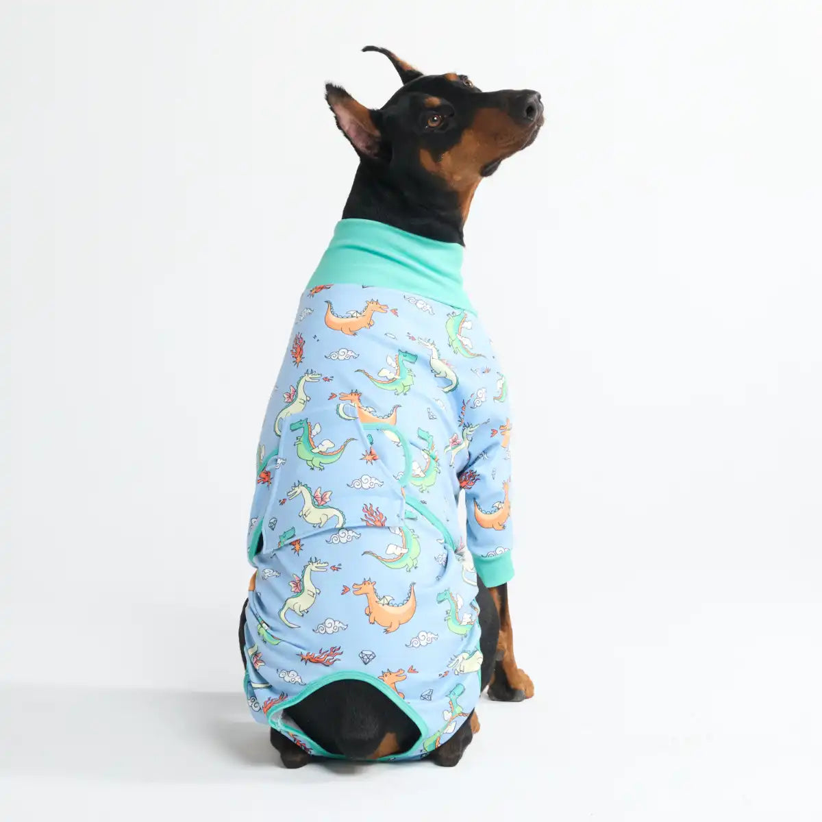 Dog Surgical Suit (2-pack) - Dinosaurs and Dragons