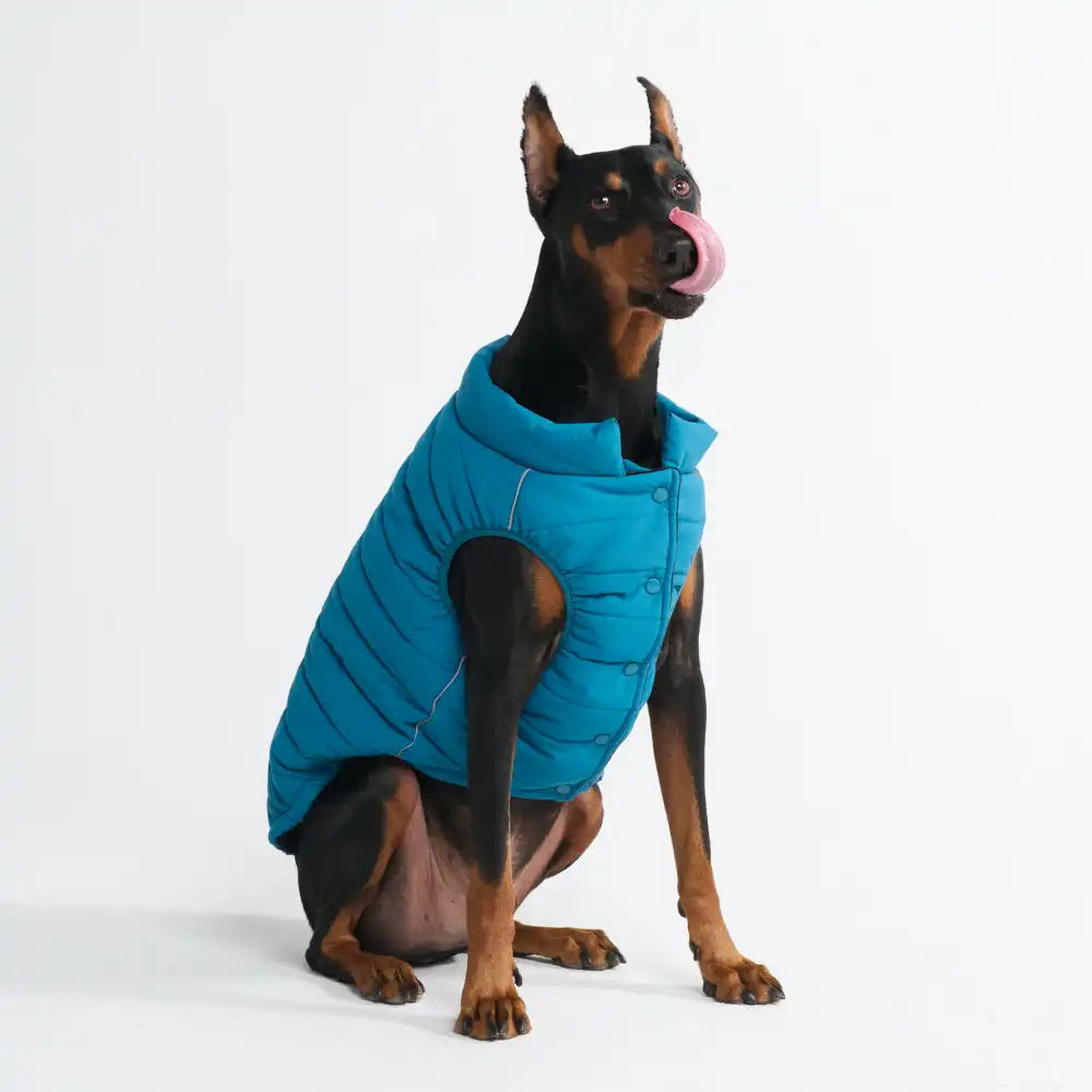 WarmShield Water-Resistant Jacket - Teal