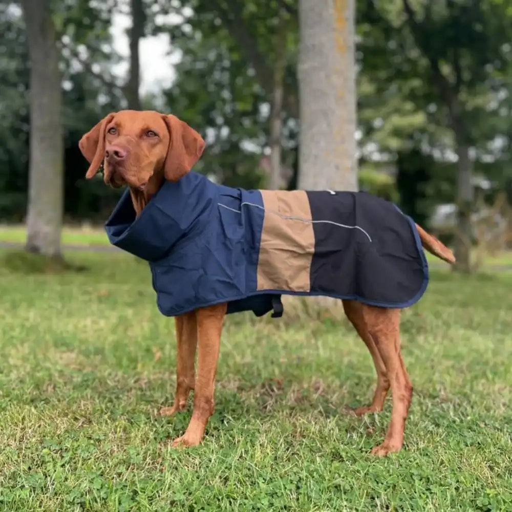 Breatheshield™ Dog Raincoat - Blue Gold Black