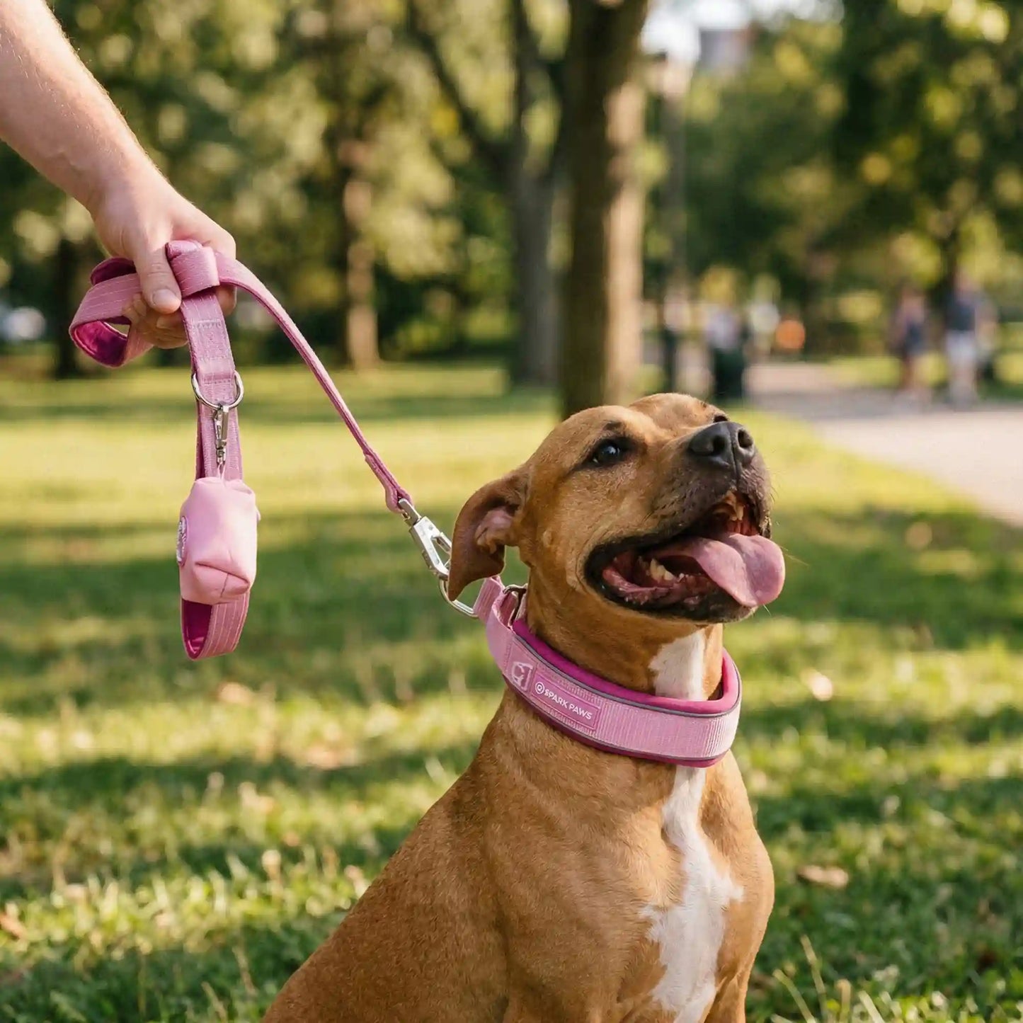 Martingale Collar Sets