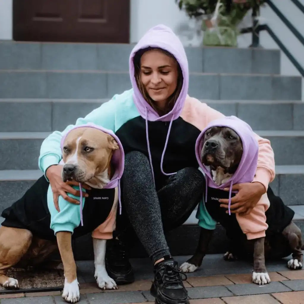 Cyber Punk Dog Hoodie