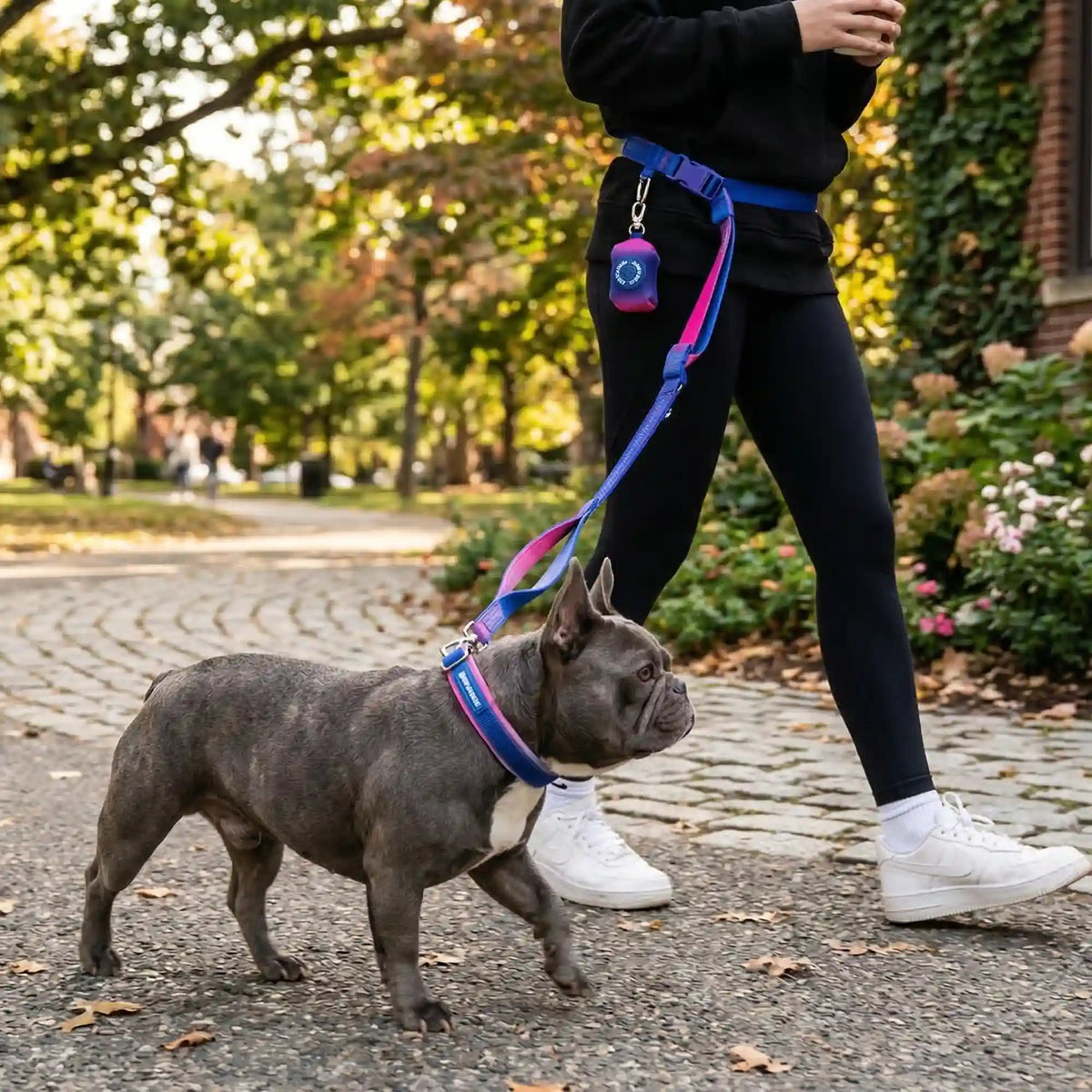 Martingale Collar and Multipurpose Leash Set - Snow Cone