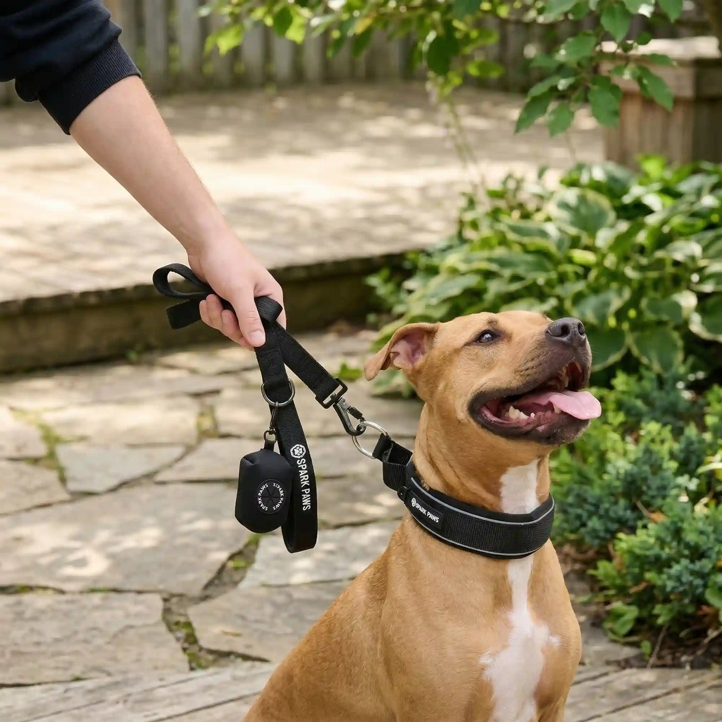 Martingale Collar Set - Black