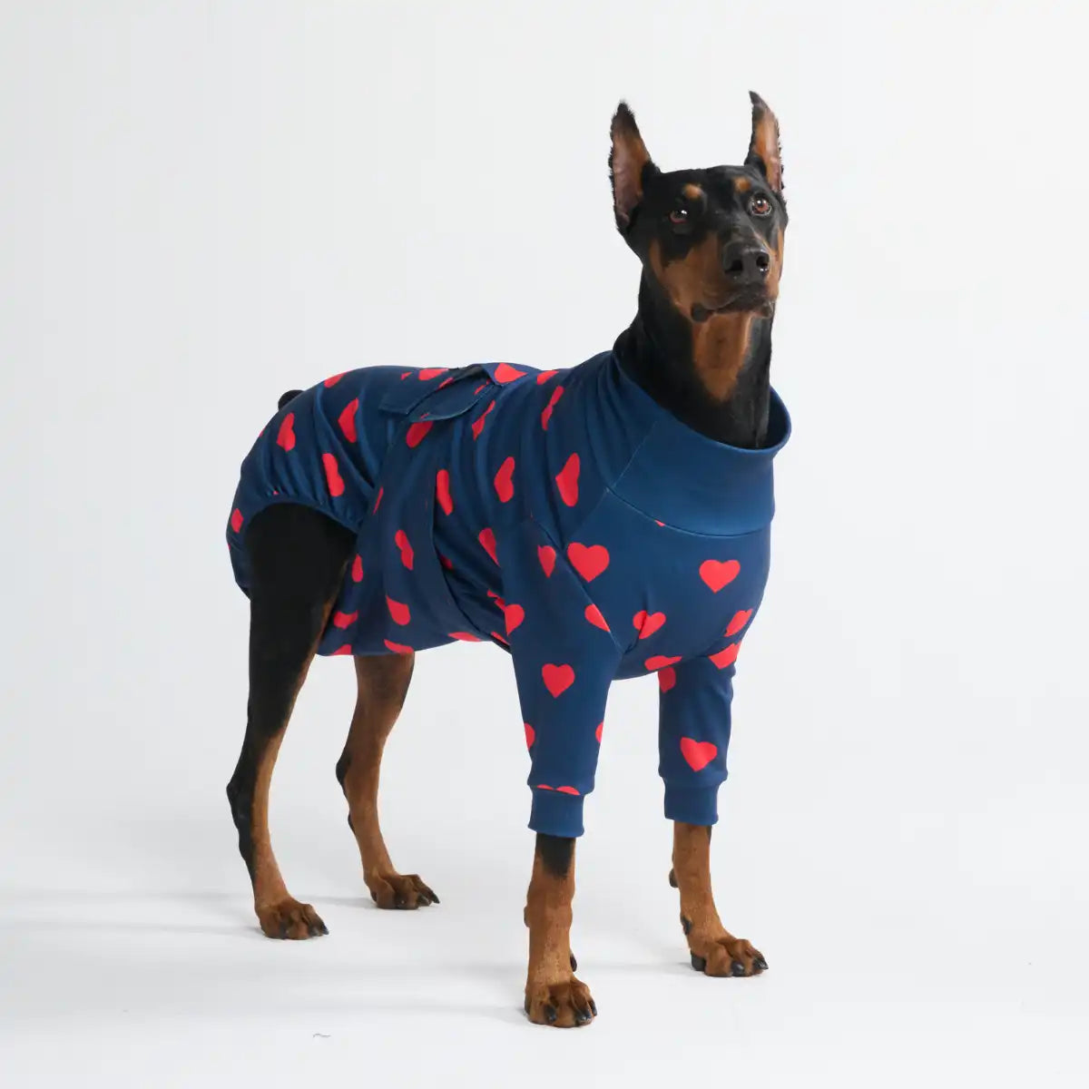 Dog Surgical Suit - Hearts