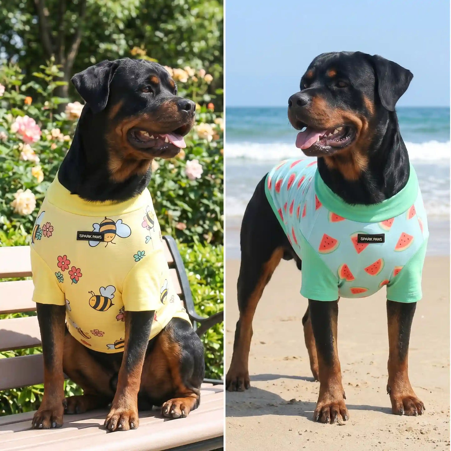 Sunblock Dog T-Shirt (2-pack) - Bees Watermelon