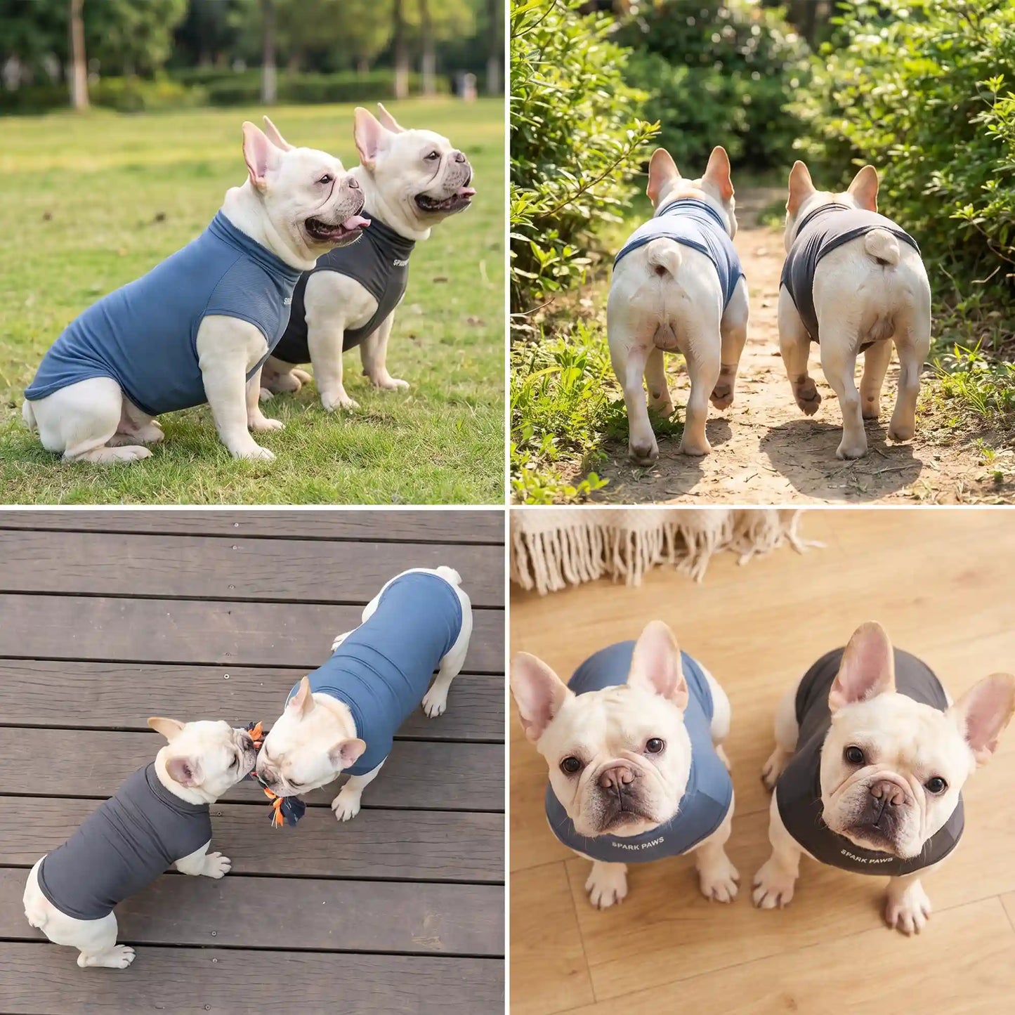 Sunblock Dog T-Shirt 2-pack
