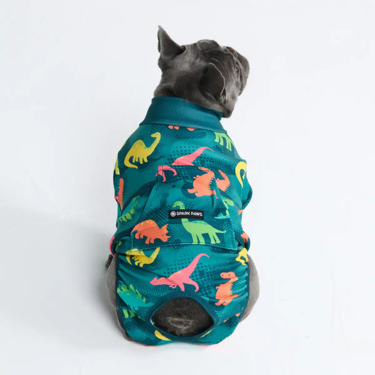 Dog Surgical Suit (2-pack) - Breakfast Blue and Dinosaurs