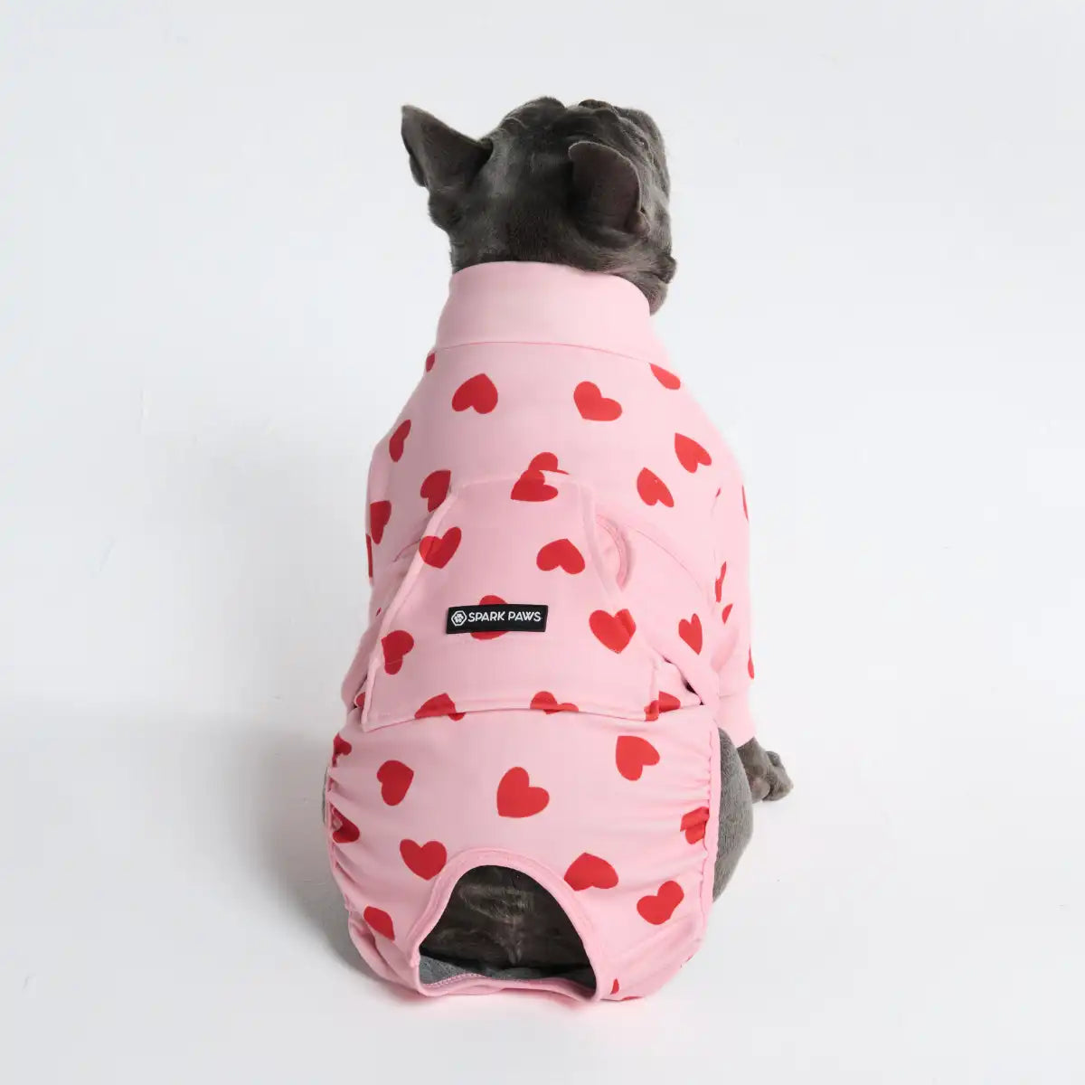 Dog Surgical Suit (2-pack) - Butterfly and Pink Hearts