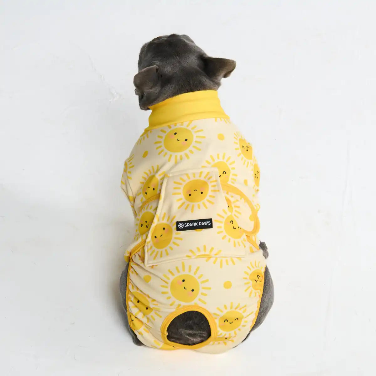 Dog Surgical Suit (2-pack) - Dinosaurs and Sunshine