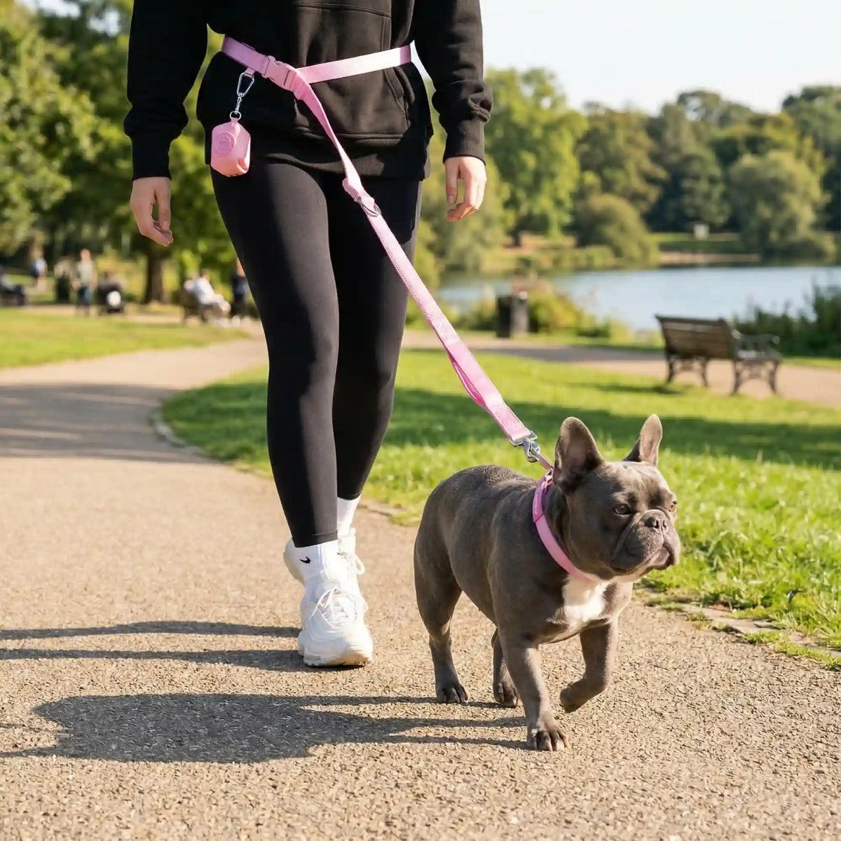 Martingale Collar and Multipurpose Leash Set - Pink