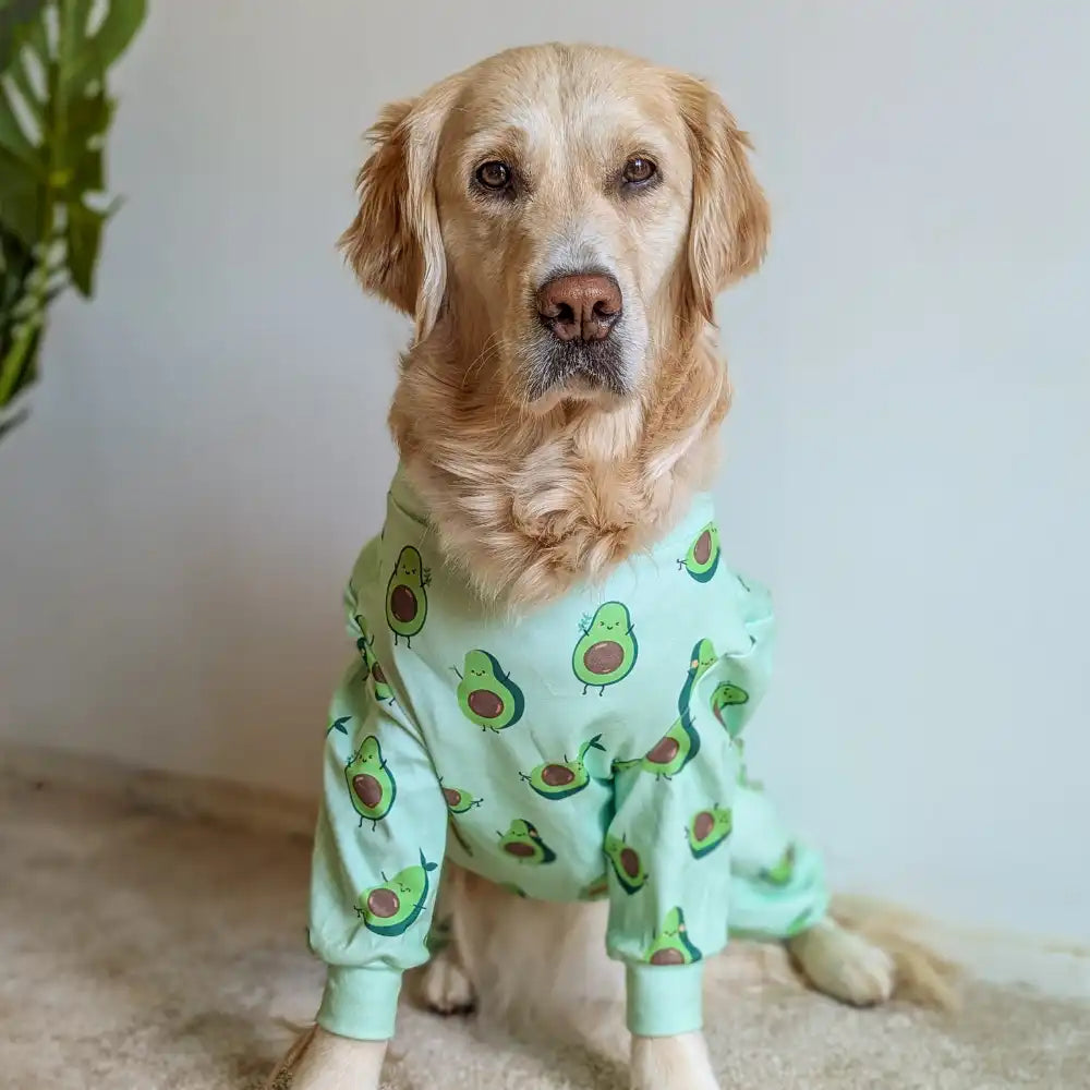 Dog Pajama Prints