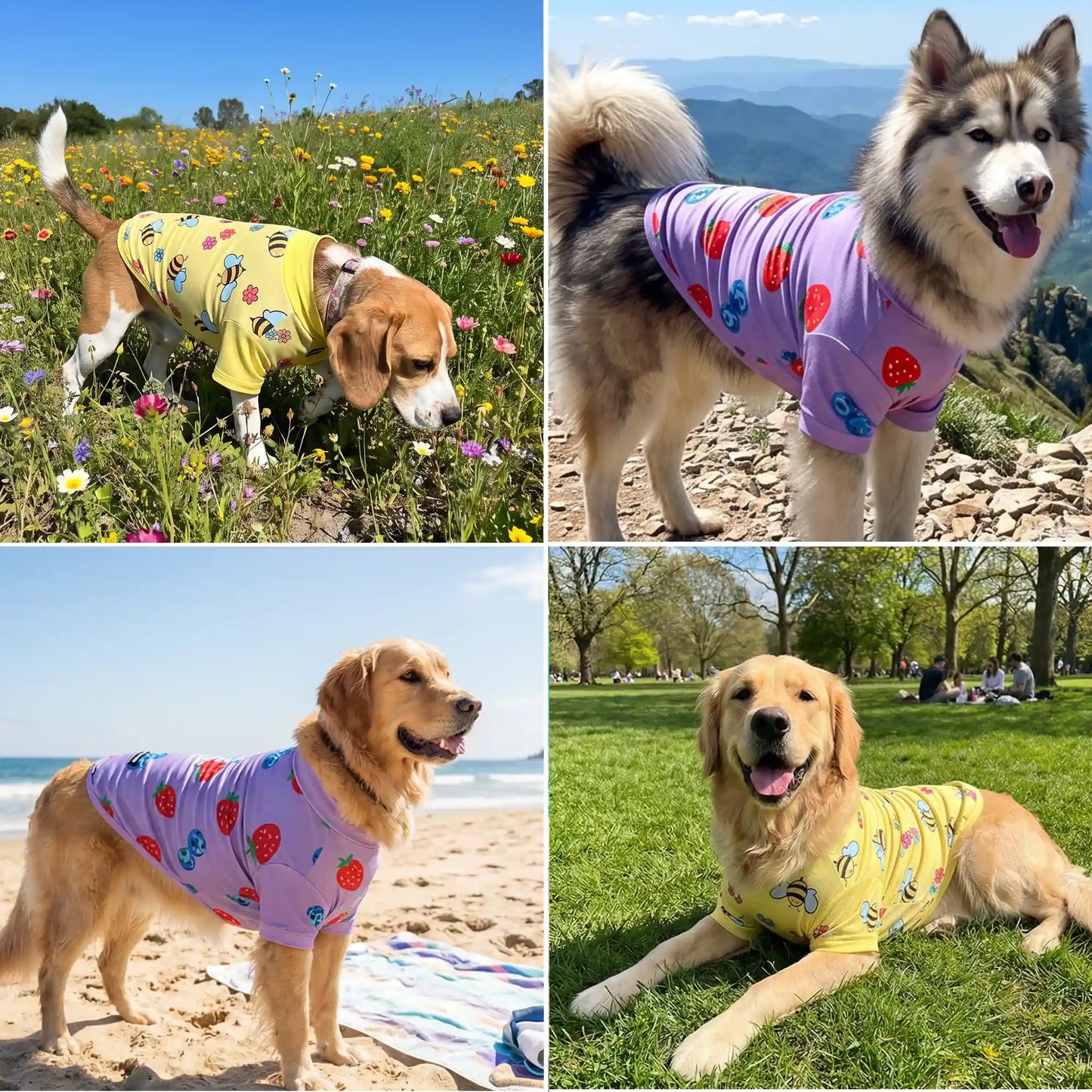 Sunblock Dog T-Shirt (2-pack) - Bees Berries