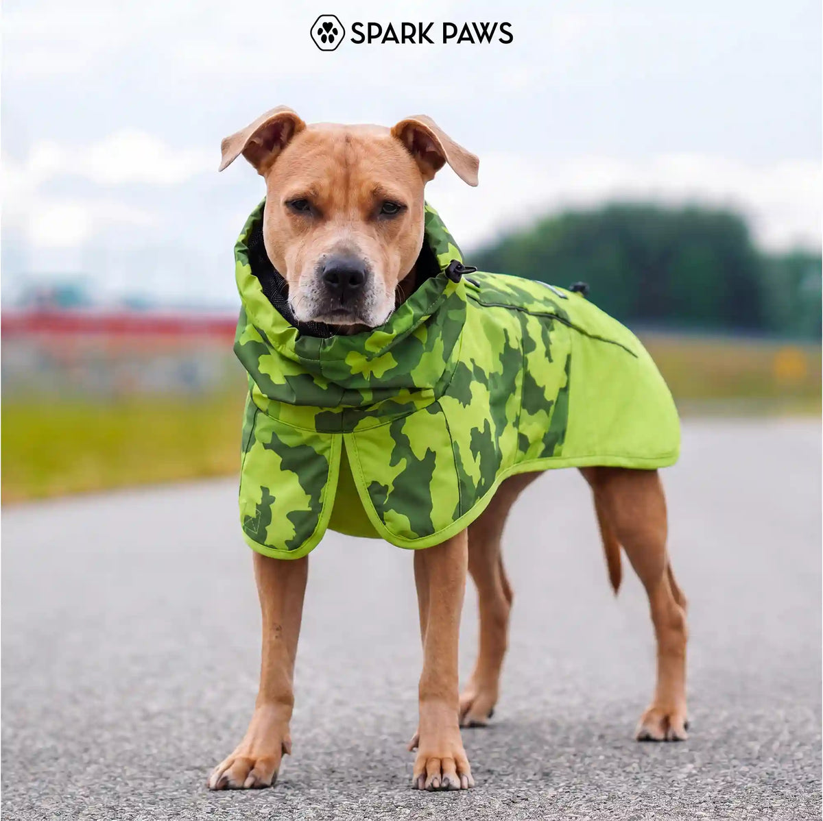 Breatheshield™ Dog Raincoat - Camo Lime