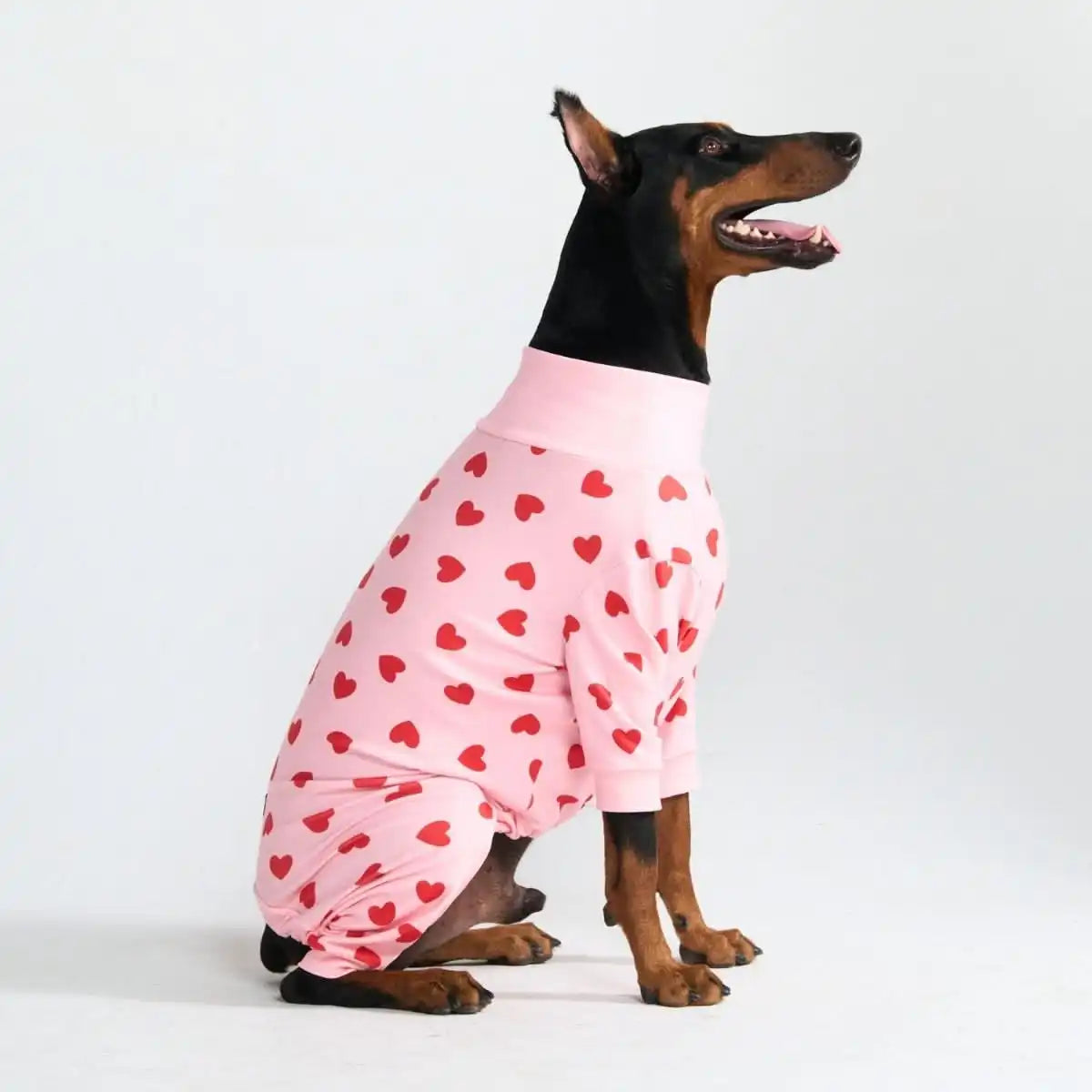 Dog Pajama - Pink Hearts