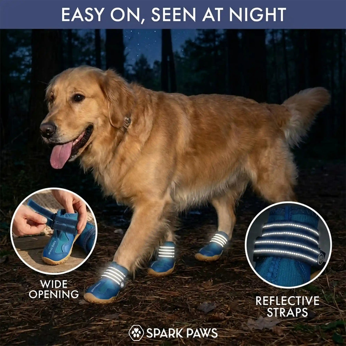 365 All-Season Dog Shoe 4PC Set - Blue