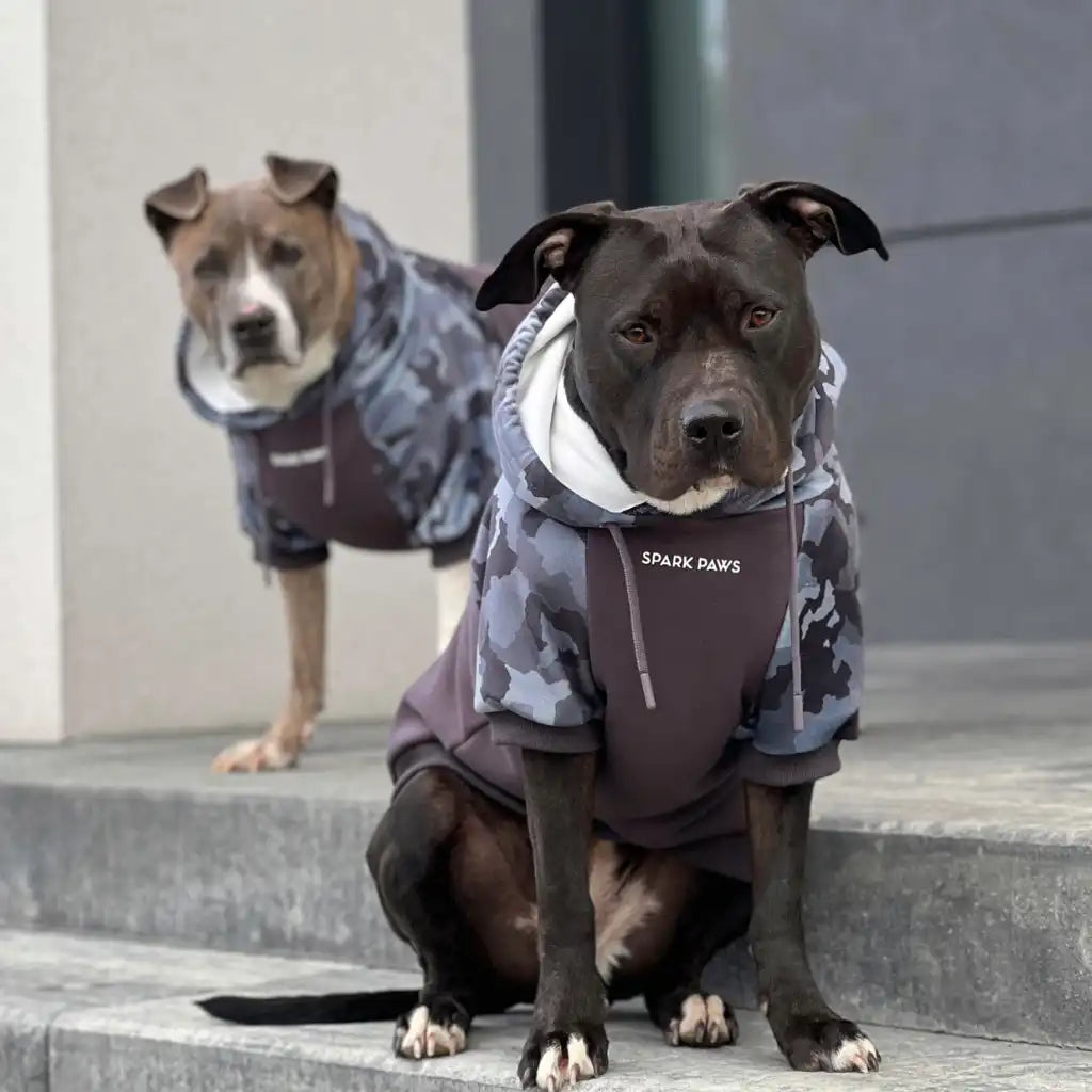 Camo Dog Hoodies