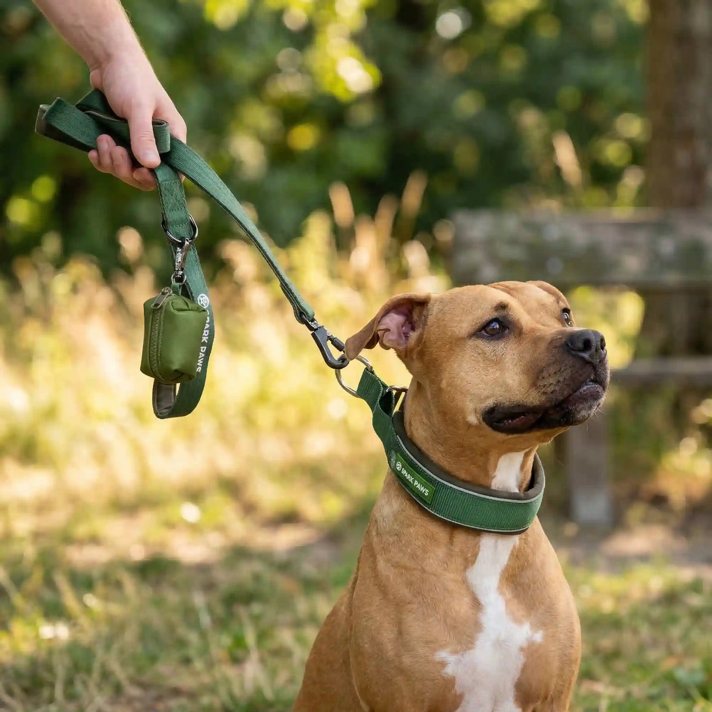 Martingale Collar Set - Army Green