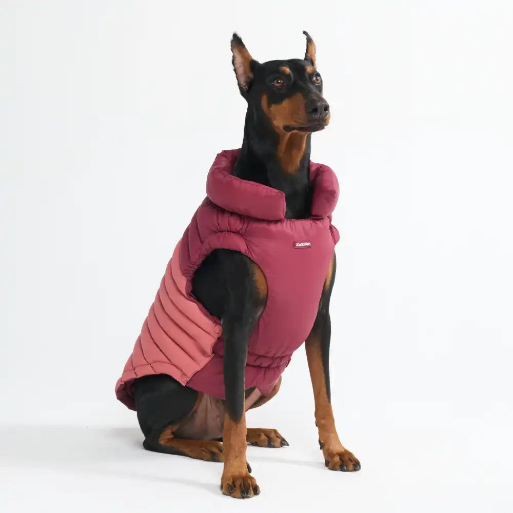 PuffShield Winter Jacket - Red