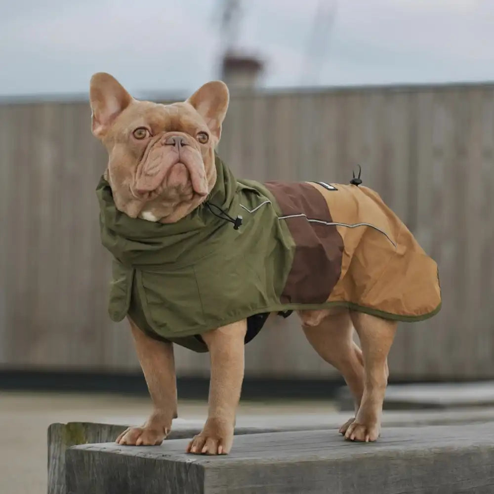 Breatheshield™ Dog Raincoat - Green Brown Tan