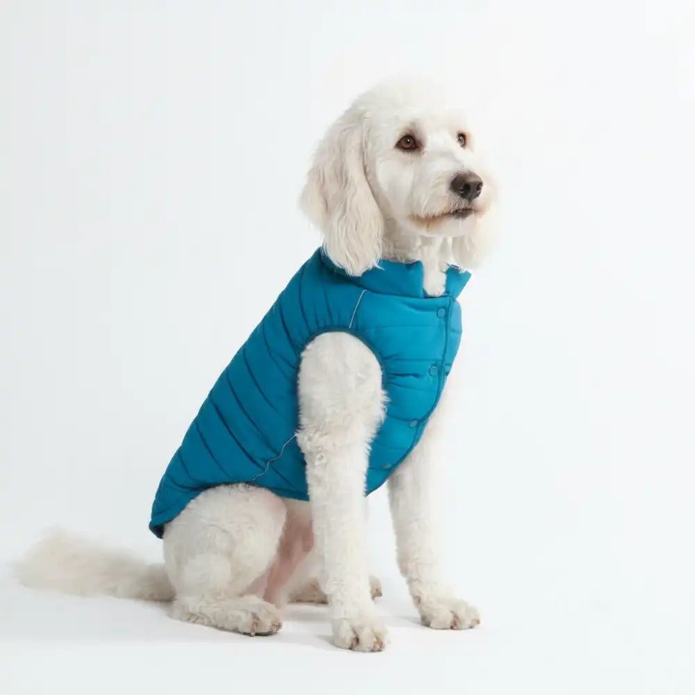 WarmShield Water-Resistant Jackets