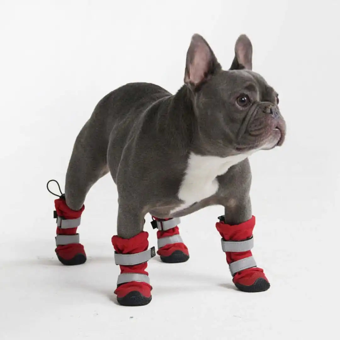 Dog Rainboots, Waterproof Dog Shoes