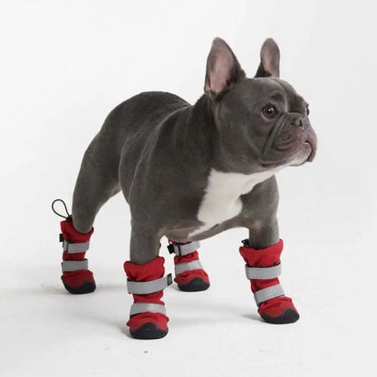 Dog Rainboots, Waterproof Dog Shoes