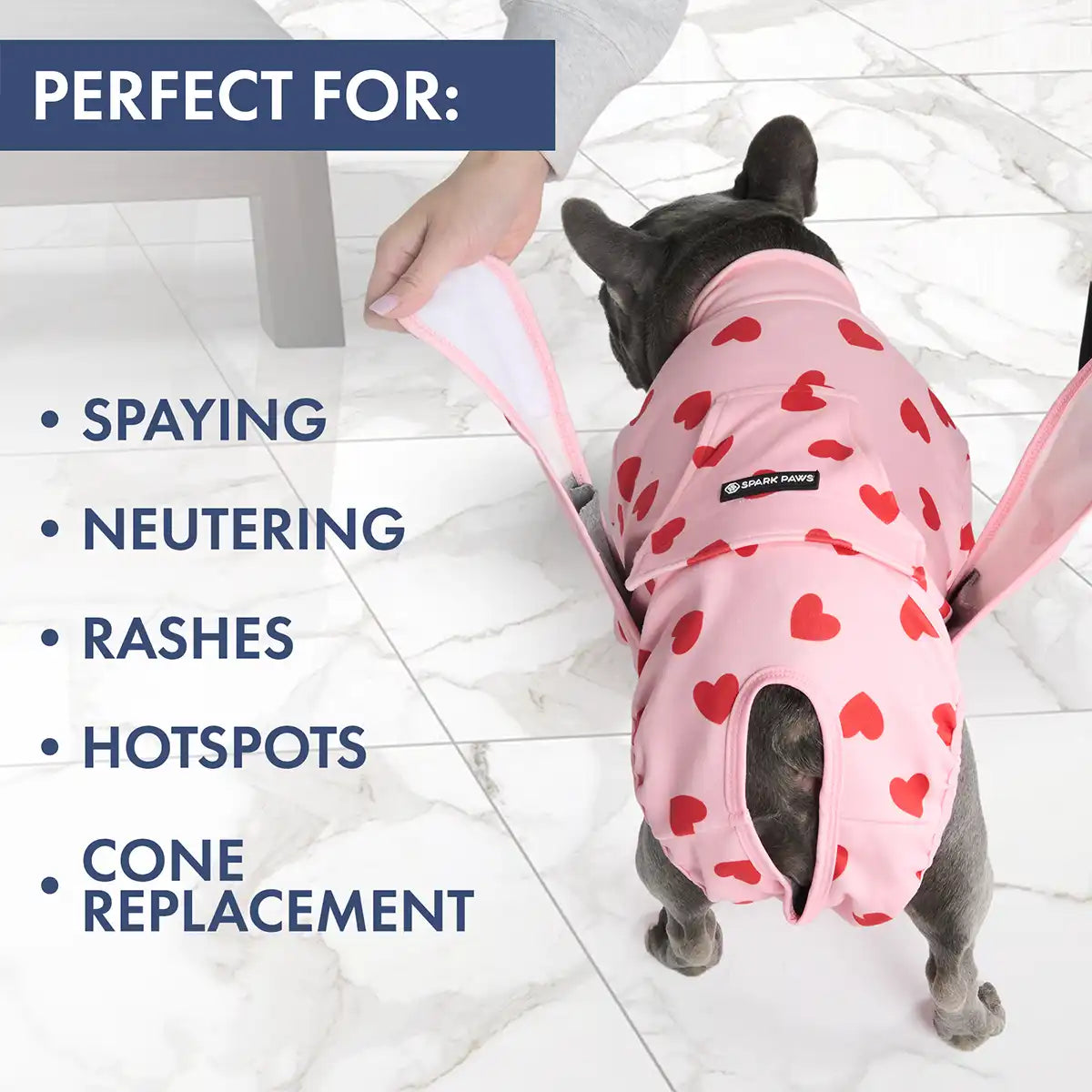 Dog Surgical Suit  2-pack