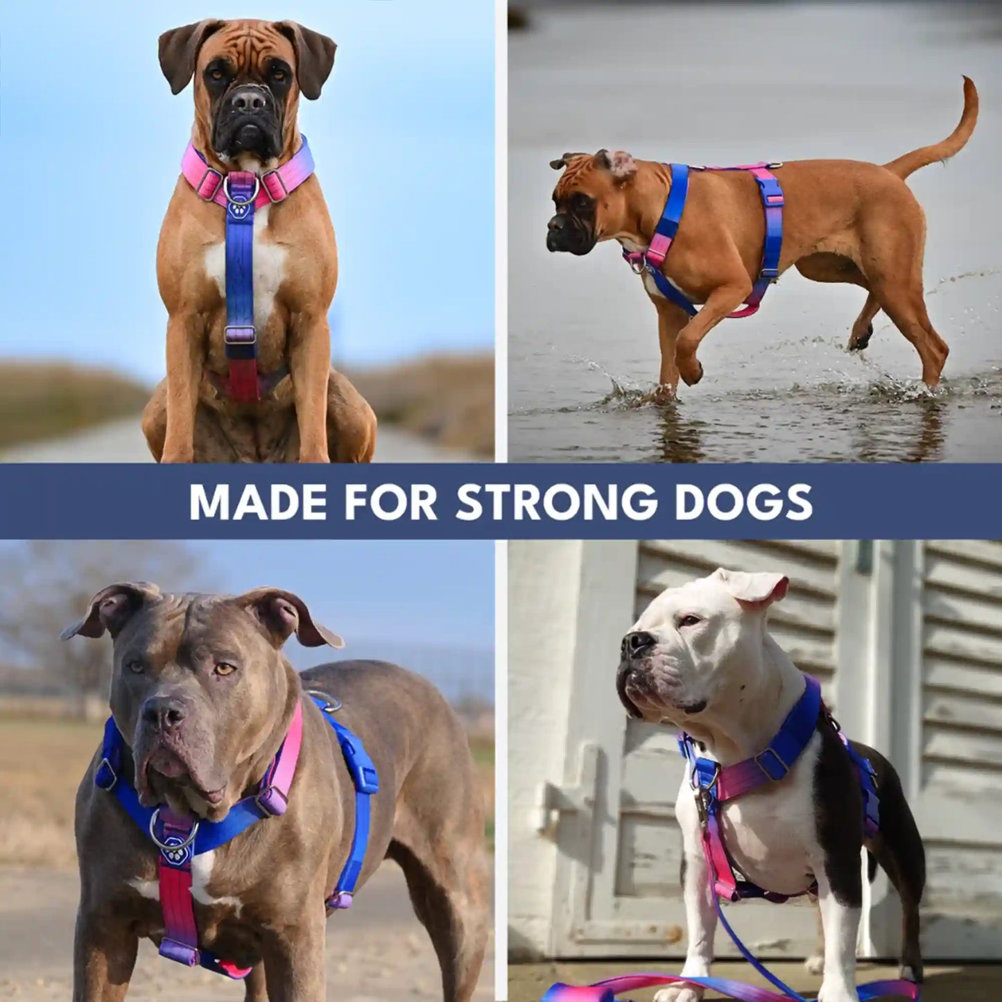 Comfort Control No-Pull Dog Harness and Multipurpose Leash Sets