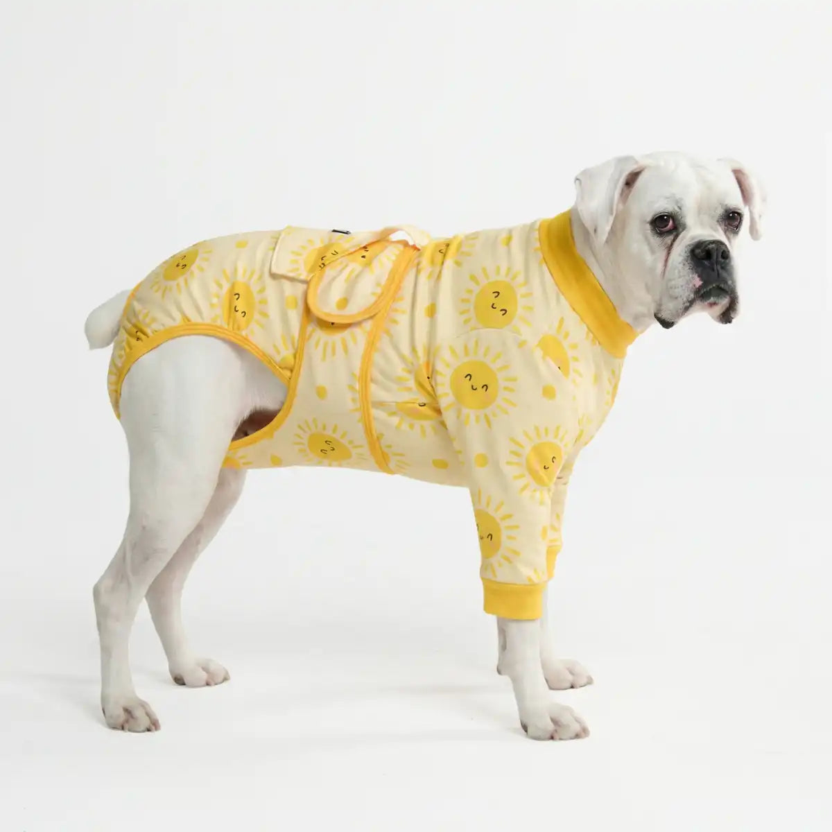Dog Surgical Suit
