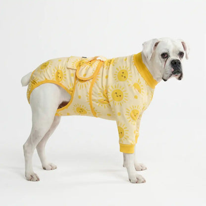 Dog Surgical Suit - Sunshine