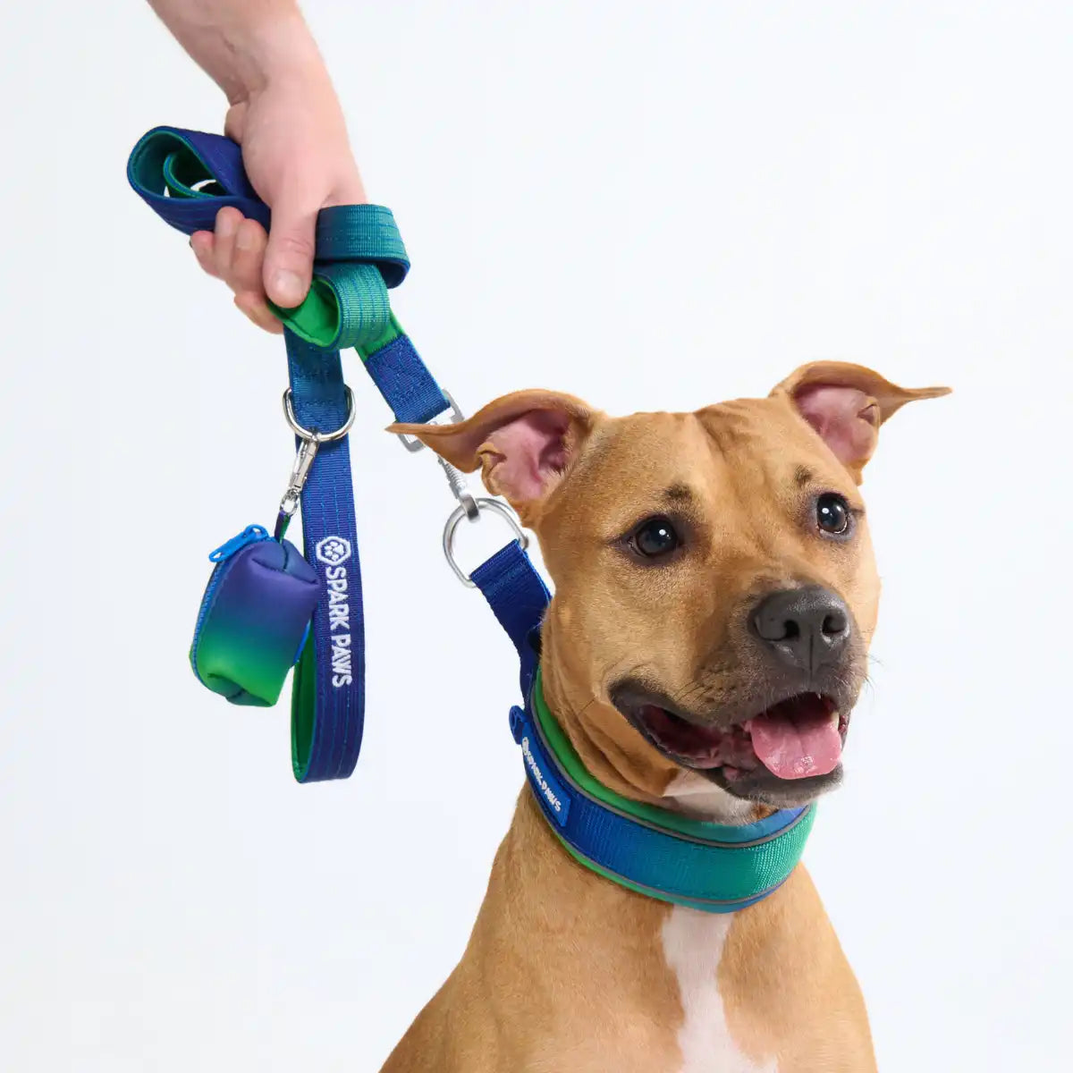 Cushioned Martingale Collars