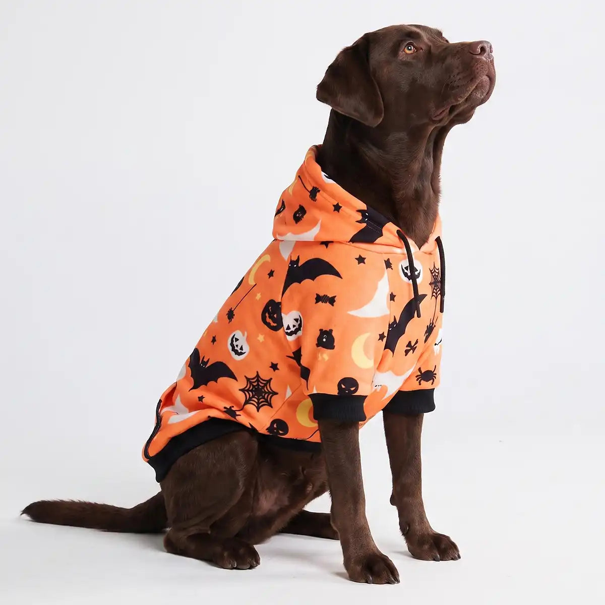 Halloween Dog Hoodies (Limited Edition)