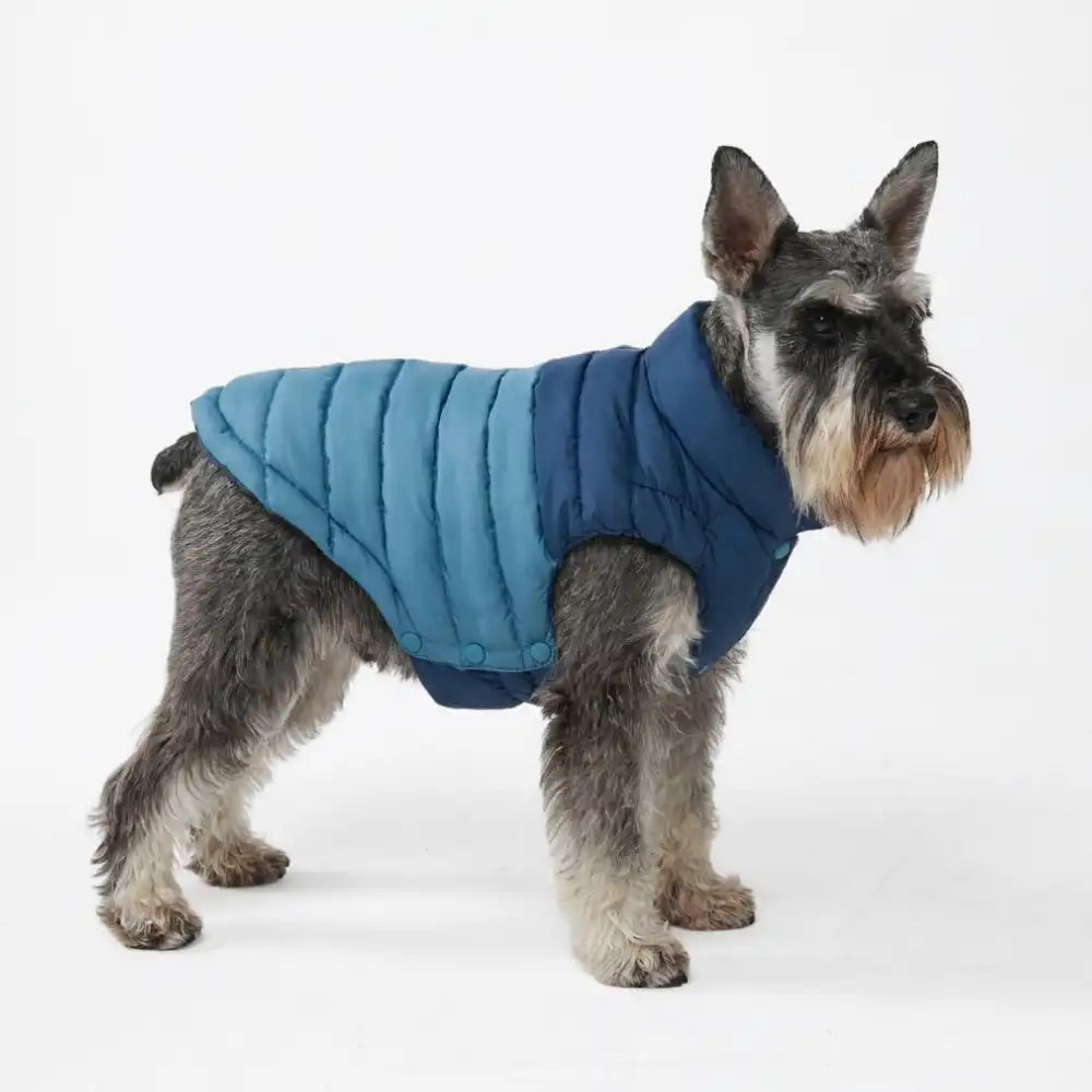 PuffShield Winter Jackets