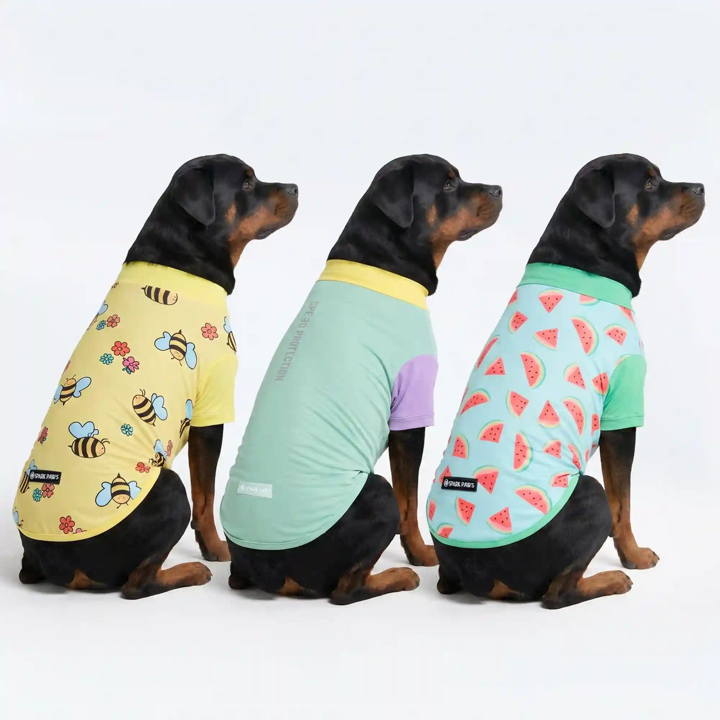 Sunblock T-Shirt 3 Pack