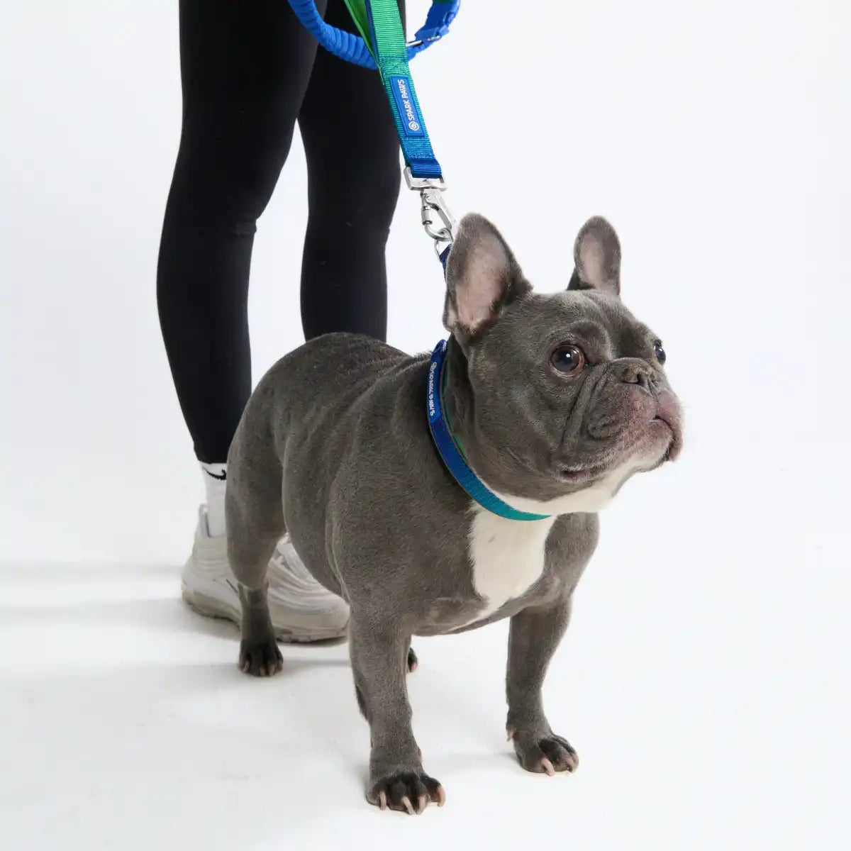 Cushioned Martingale Collars