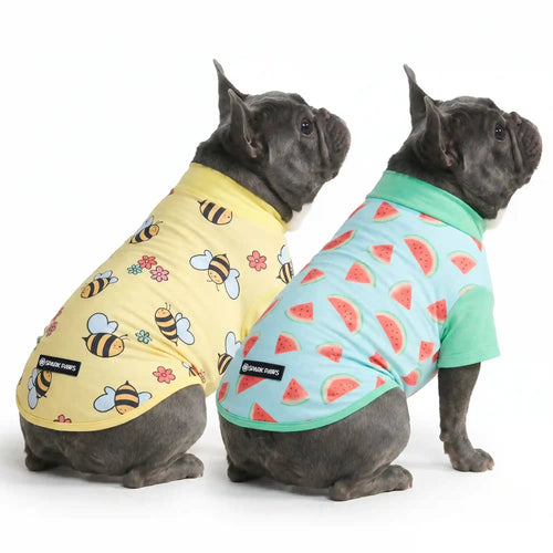 Sunblock Dog T-Shirt (2-pack) - Bees Watermelon