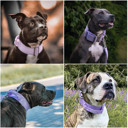 Comfort Control Collar - Lilac
