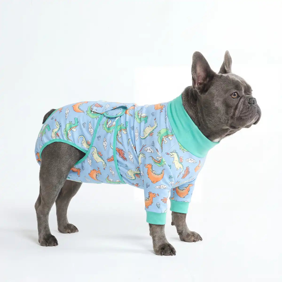 Dog Surgical Suit