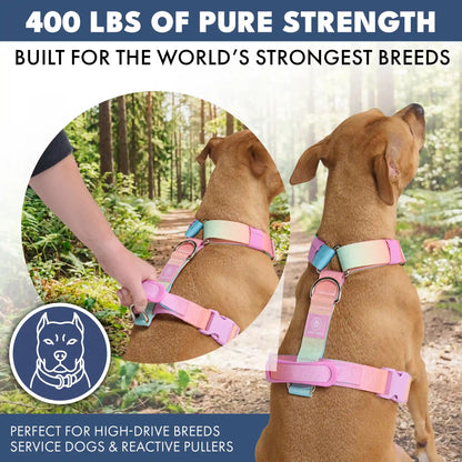 Comfort Control No-Pull Dog Harnesses