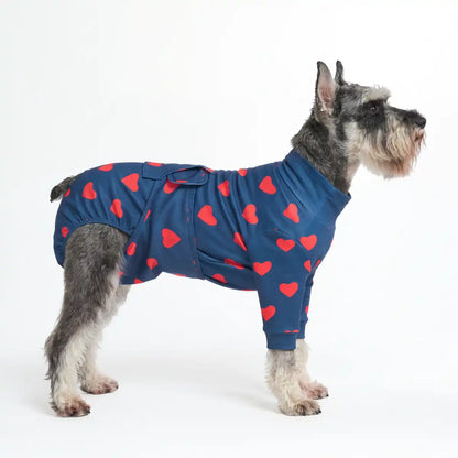 Dog Surgical Suit