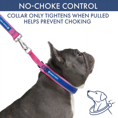 Martingale Collar and Multipurpose Leash Sets