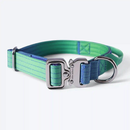 Comfort Control Dog Collars