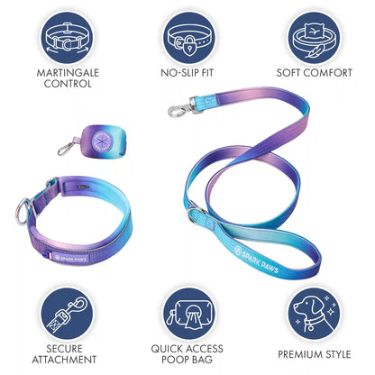 Martingale Collar Set - 90s Retro