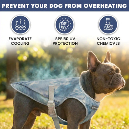 Dog Cooling Vest - Ice Blue