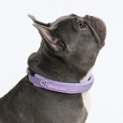 Cushioned Martingale Collars