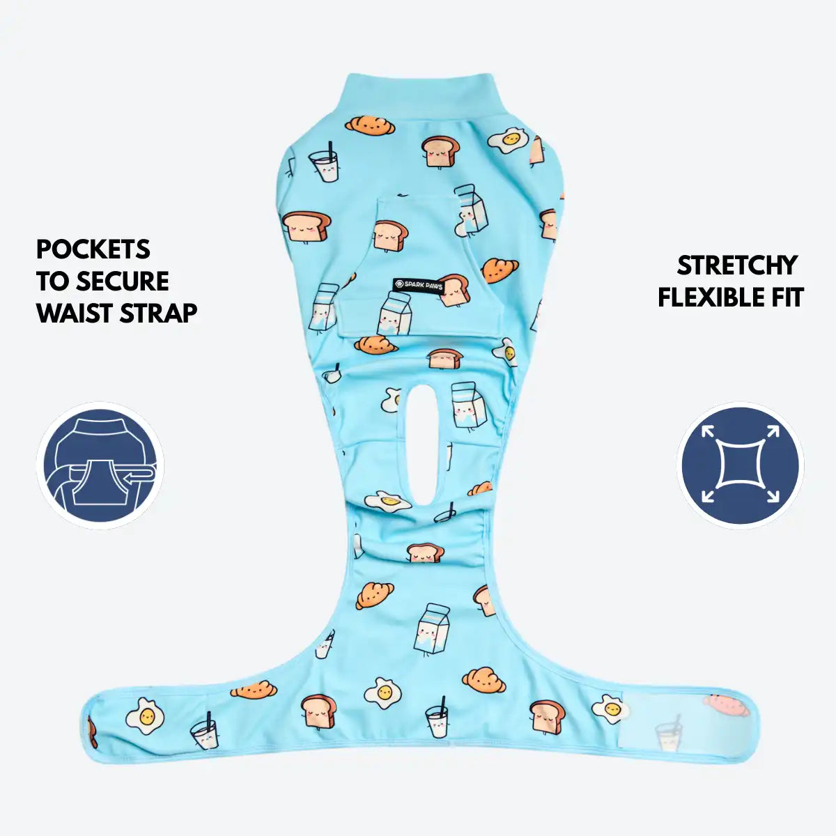 Dog Surgical Suit