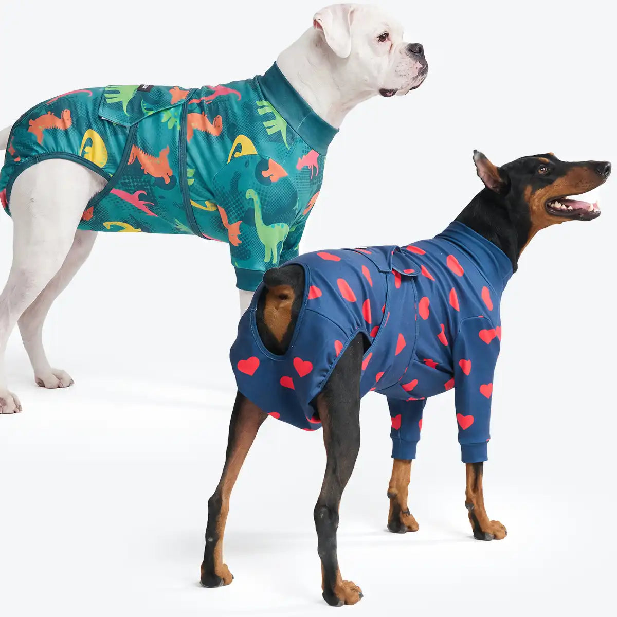 Dog Surgical Suit  2-pack