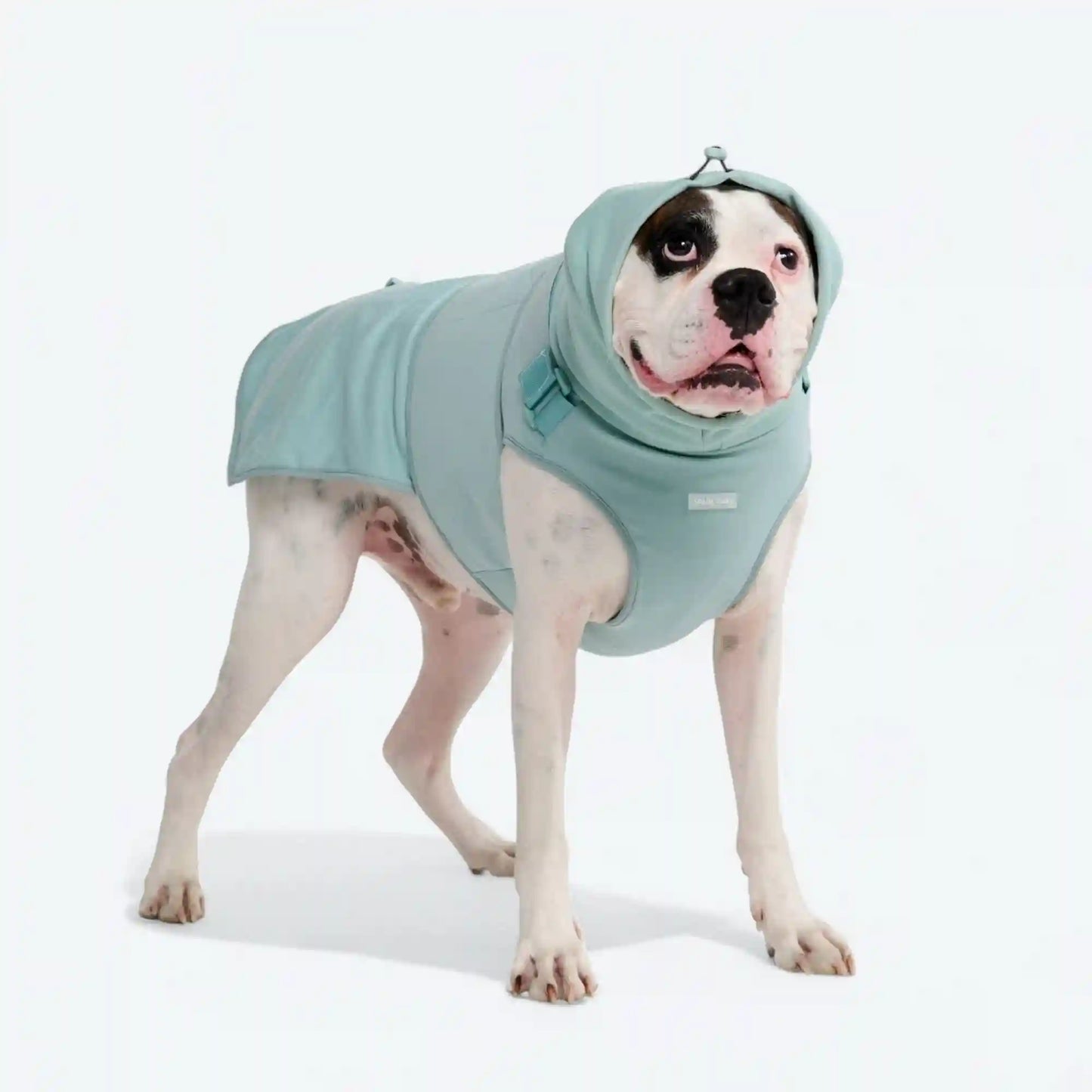 Anxiety Calming Suit