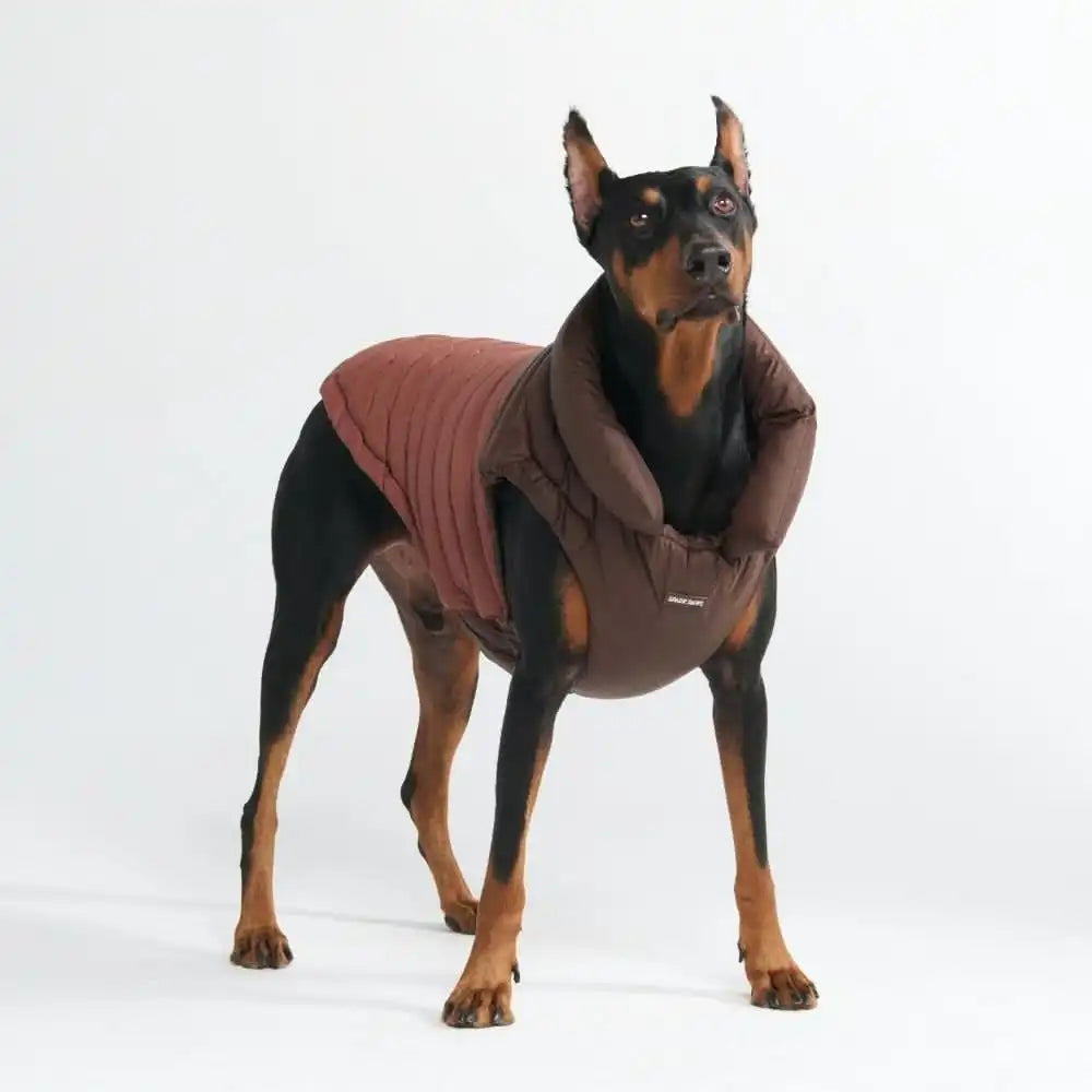 PuffShield Winter Jacket - Brown